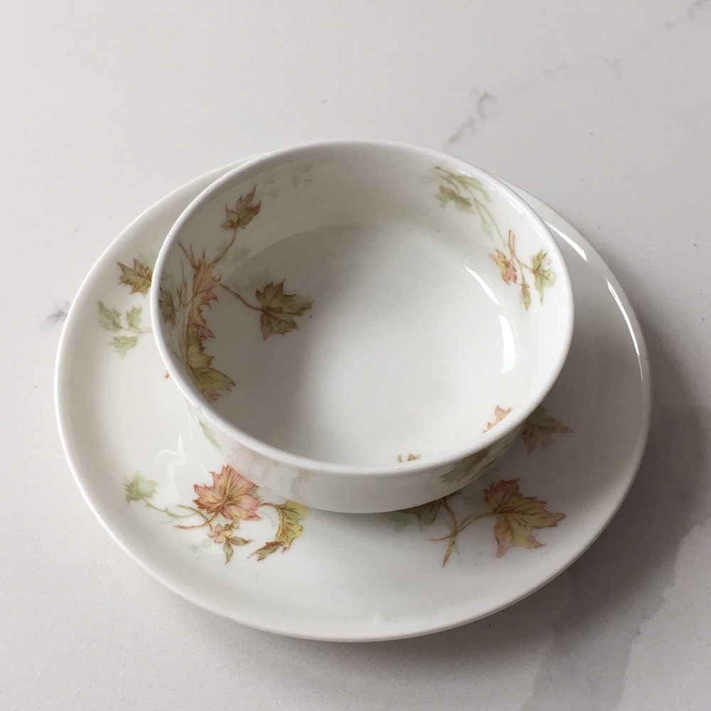 Limoges set Autumn 🍁 miniature bowl and saucer